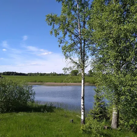 Kamp Paehnamaee Metsamajake Ruusmae