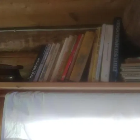 Paehnamaee Metsamajake *