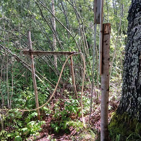 Paehnamaee Metsamajake Campsite