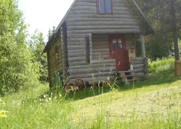 Paehnamaee Metsamajake