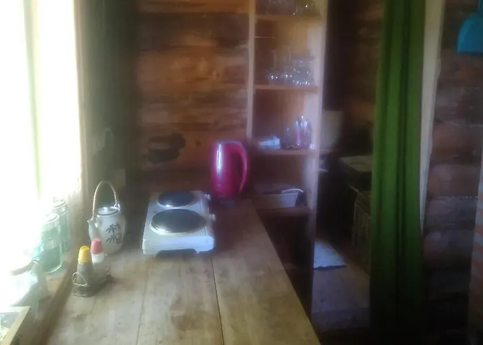 Paehnamaee Metsamajake