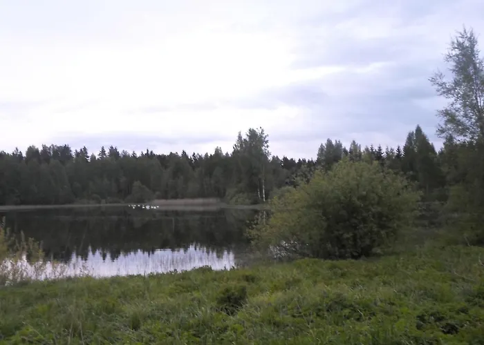 Paehnamaee Metsamajake *