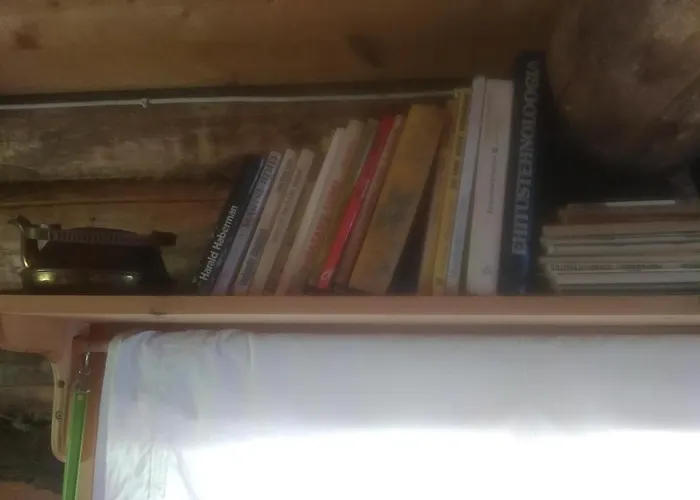 Paehnamaee Metsamajake *