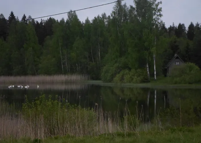 Paehnamaee Metsamajake *